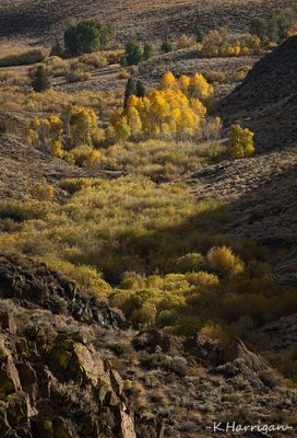 Mountain Glory
