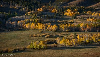 Fall Color along the Sierra Nevada