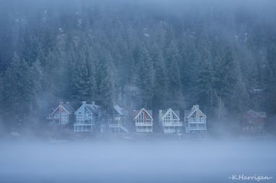 Idyll for Early Winter