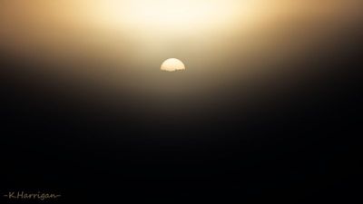 Morning Radiance