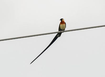 g13/90/1190690/3/175338847.2c0de95d.JPEG