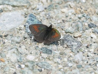 g13/90/1190690/3/175653286.aabf914e.JPEG