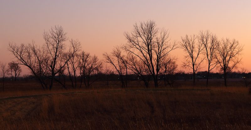 Dusk Landscape