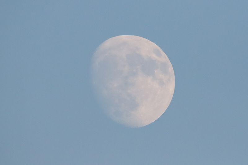 Daytime Moon