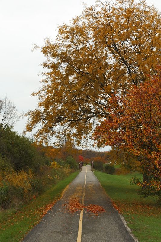 Passing Through Fall