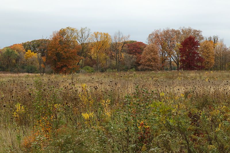 Autumn on the Edge