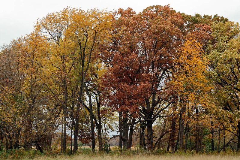 October Color