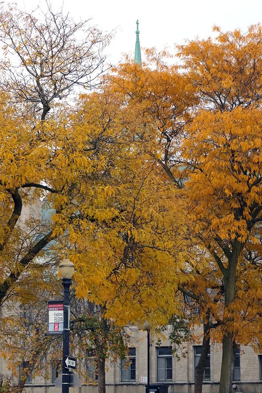 Fall Downtown