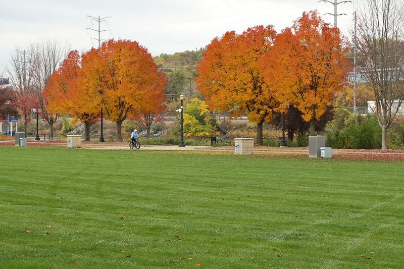 Pedaling Through Autumn