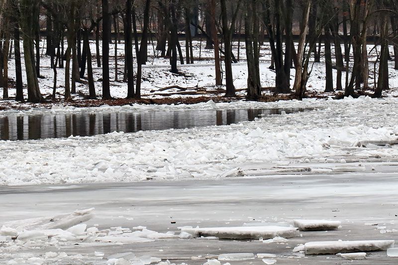 Fox Ice