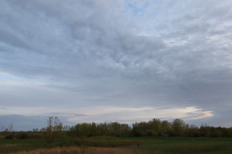 Clumps of Clouds