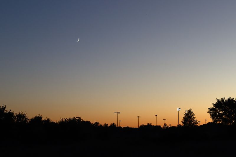 Night Lights