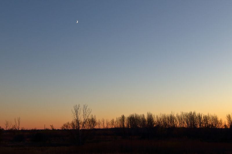 Moon at Sunset