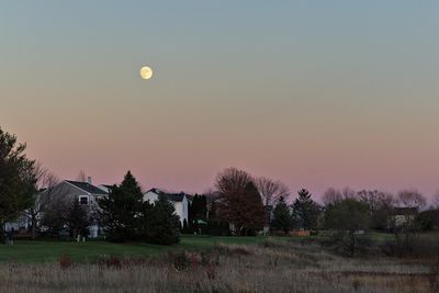 By the Light of the Moon