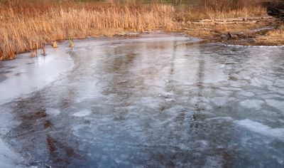 Inlet Ice