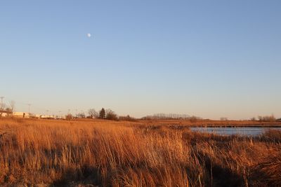 Daytime Moon