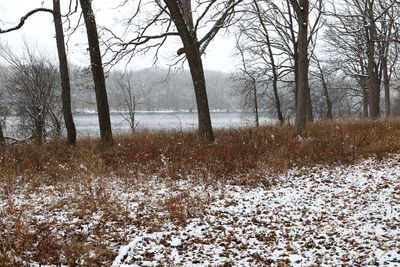 Snow Valley