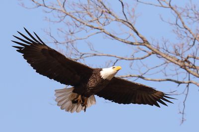 Nest in Sight