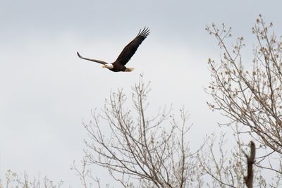 In the Wind