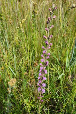 September on the Prairie