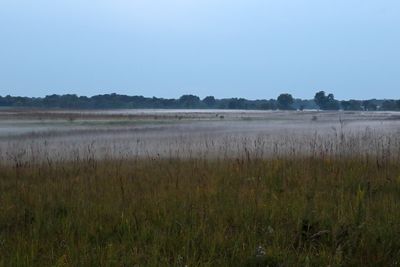 Prairie Smoke