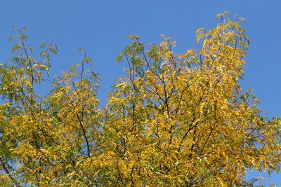 Changing Seasons