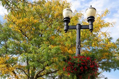 September in the Park
