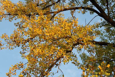 Autumn has Arrived