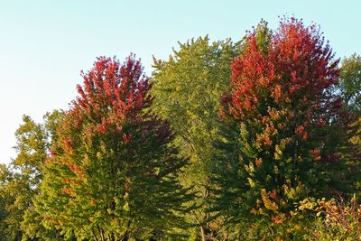 Fall on the Ends