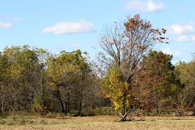 Fall on the Prairie