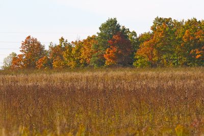 Fall at Fermilab