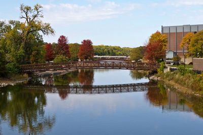Fall on the Fox