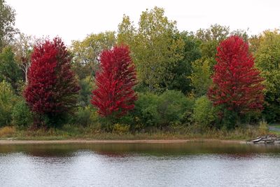 Fall on the Shore