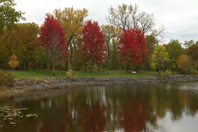Shoreline Color