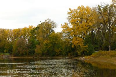 Golden Shore