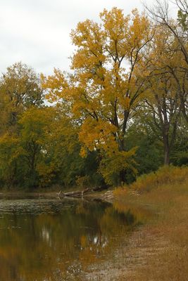 Autumn on the Lake