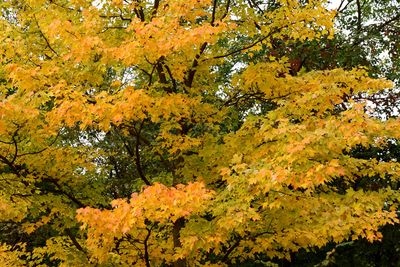 Change of Seasons