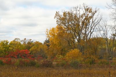 Fall at Spring Valley