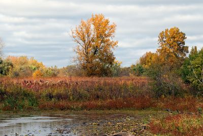 October Pond