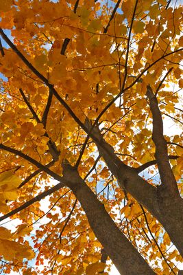 October Overhead
