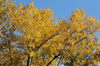 An October Day