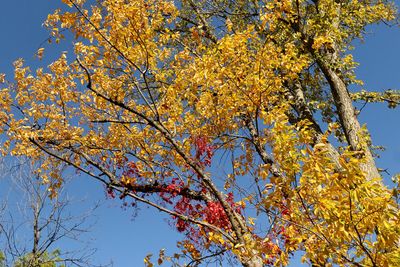 Colorful Day