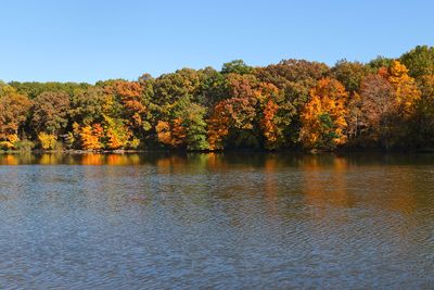 Fall in the Blue