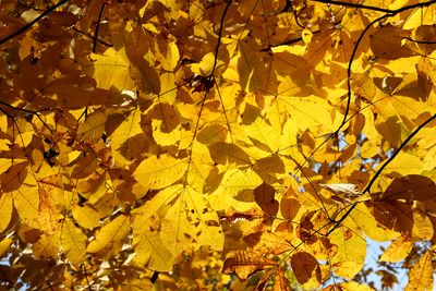 October Light