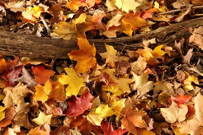 Fall on the Floor