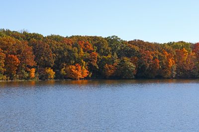 Fall in the Valley