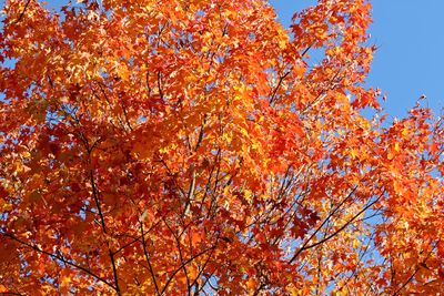 Autumn in the Air