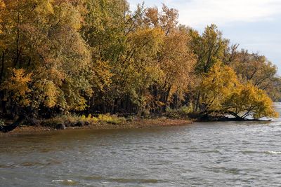 Fall Along the Shore