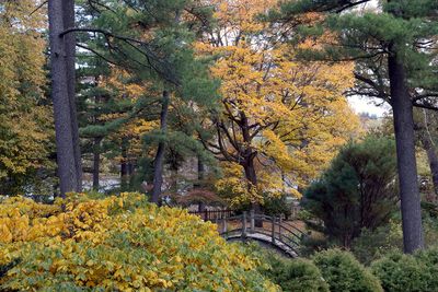 Color Garden