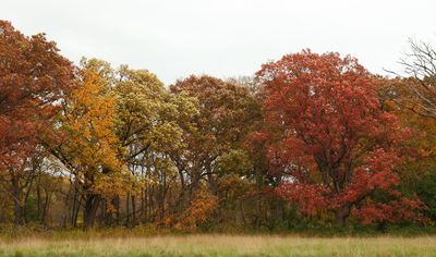 Illinois Peak